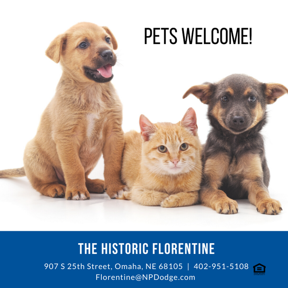 Historic Florentine Apartments 907 S 25th St, Omaha, NE 68105 Zumper