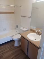 Tierra Alegre - Photo 1 of 1