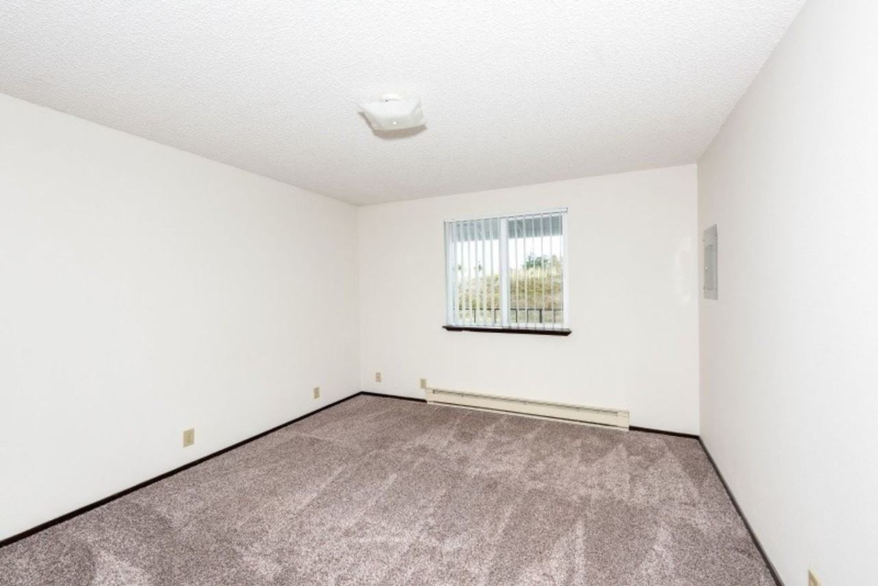 Large One Bedroom Close to Vancouver Mall - Photo 6 of 7
