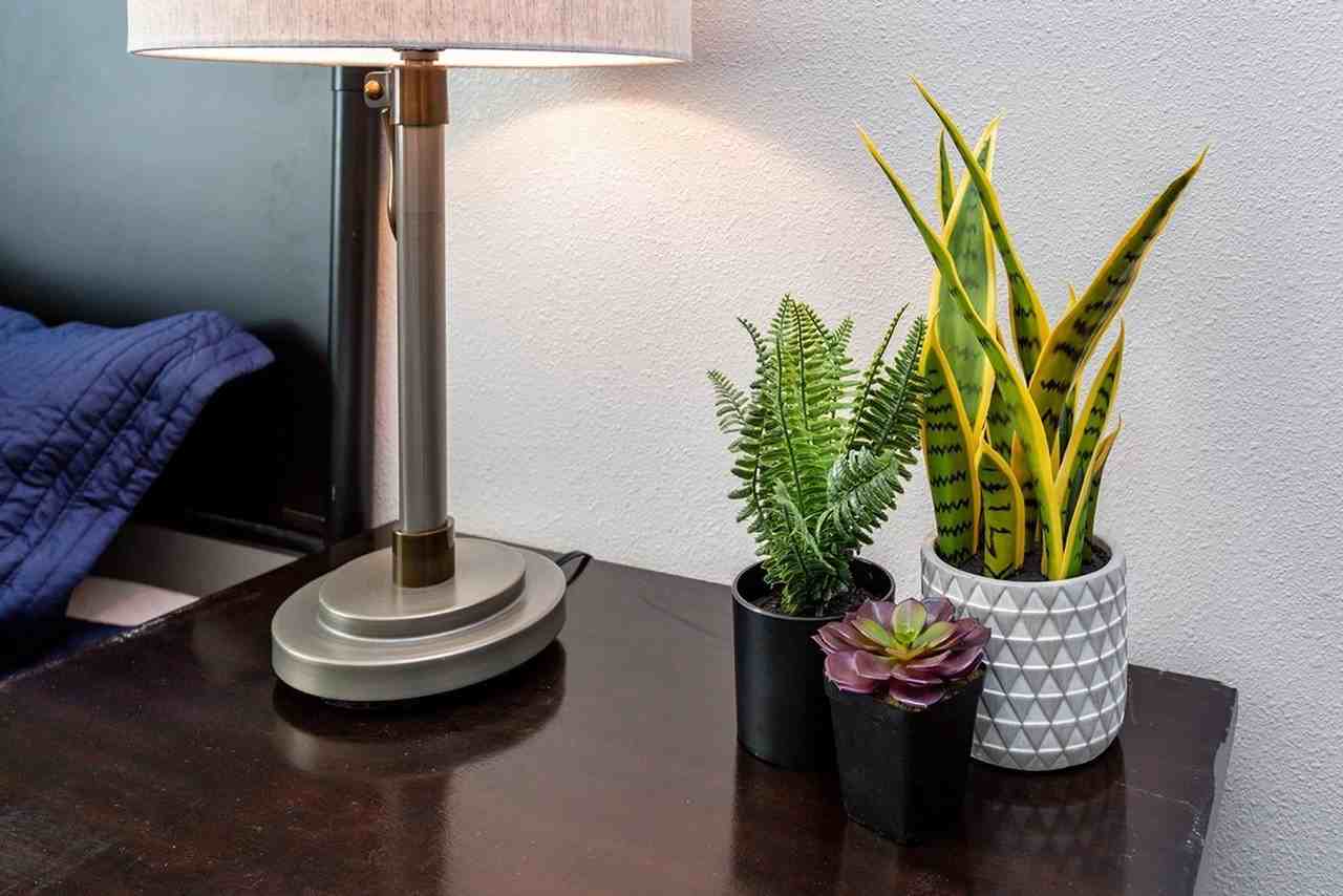 501 Plaza Heights Rd #4 - Photo 7 of 20