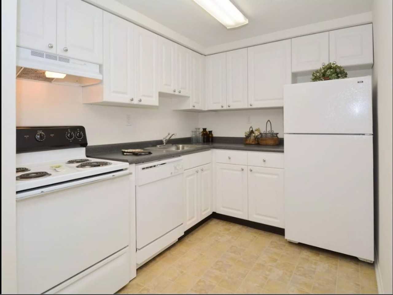 Bishop Hill Apartments - Photo 5 of 46