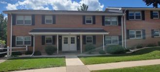 Mulberry - Photo 1 of 1