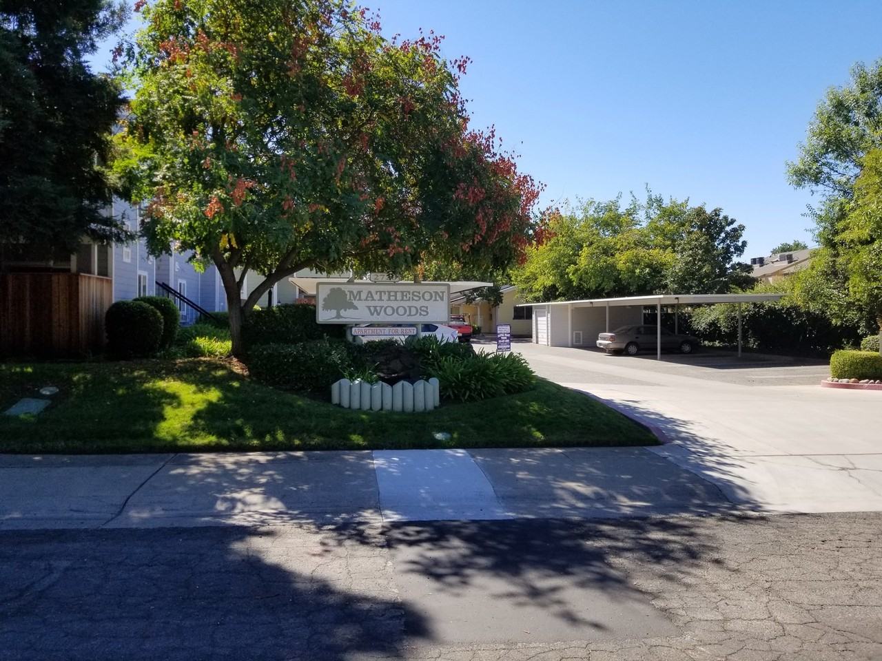 Matheson Woods - Photo 2 of 33