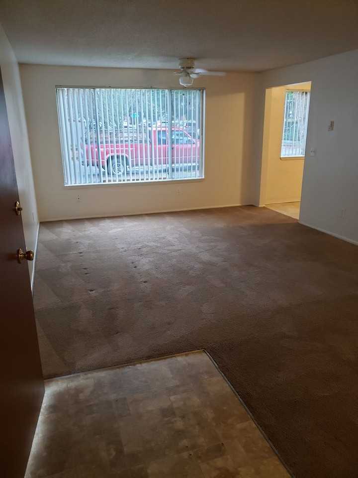 The ideal space to balance life, work and play. One bedroom home in the Arnada Neighborhood, close to uptown Vancouver! - Photo 2 of 5