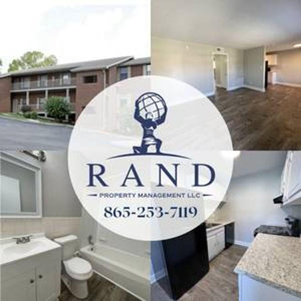 Stunning newly renovated 2 BD with washer/dryer connections! Apartments