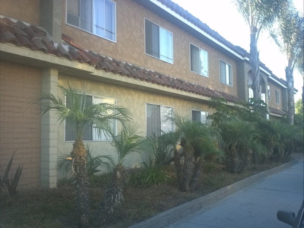 RAMONA - Photo 4 of 24