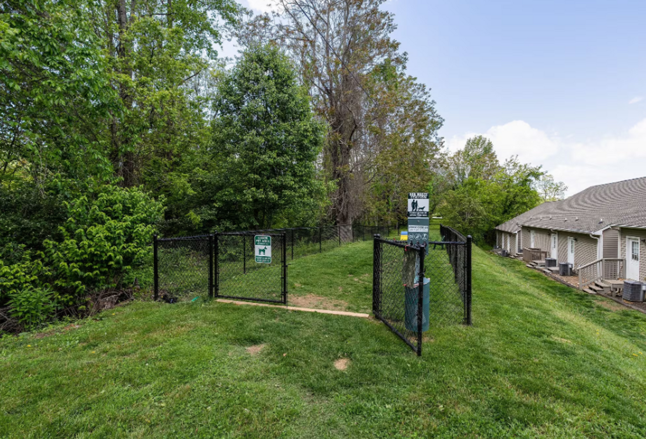 AXIS ON ROAN - Photo 3 of 14