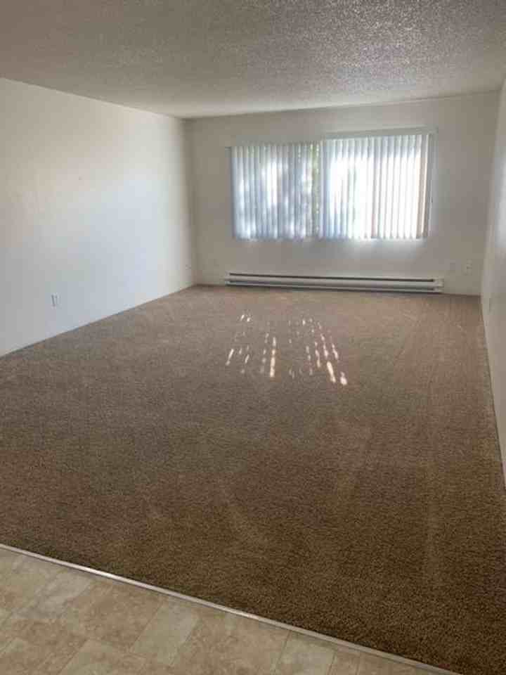 Willowbrook Apartments! Coming home never felt so good! Large Two Bedroom homes! - Photo 3 of 9