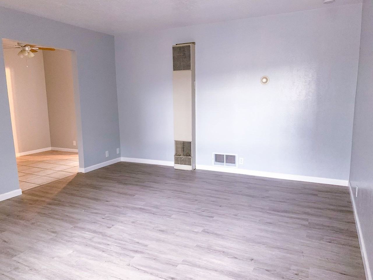 Large One - Photo 2 of 24