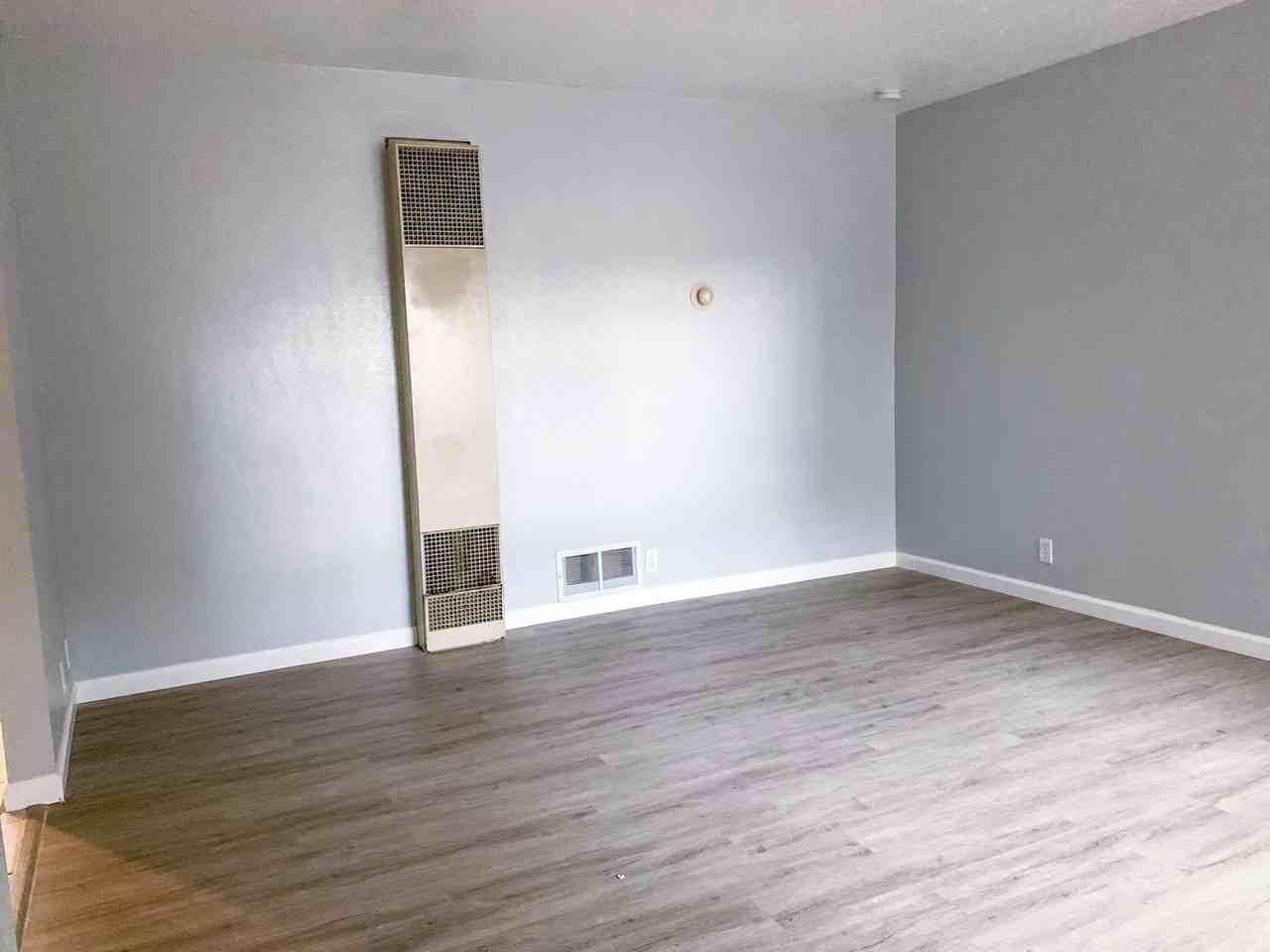 Large One - Photo 3 of 24