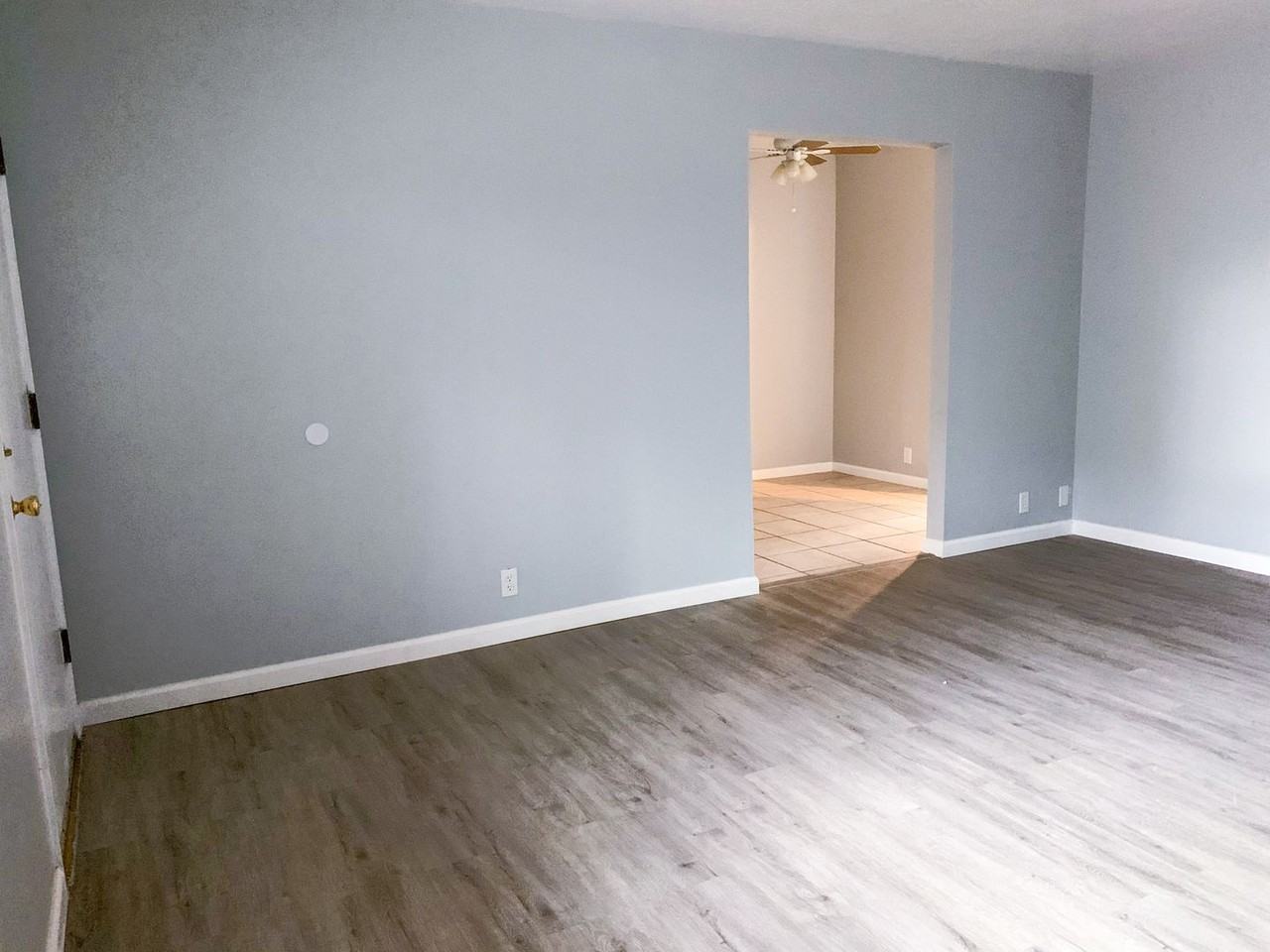 Large One - Photo 4 of 24