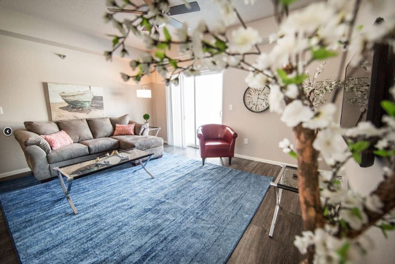 Meadowbrook Apts: 305 Springfield - Photo 3 of 8