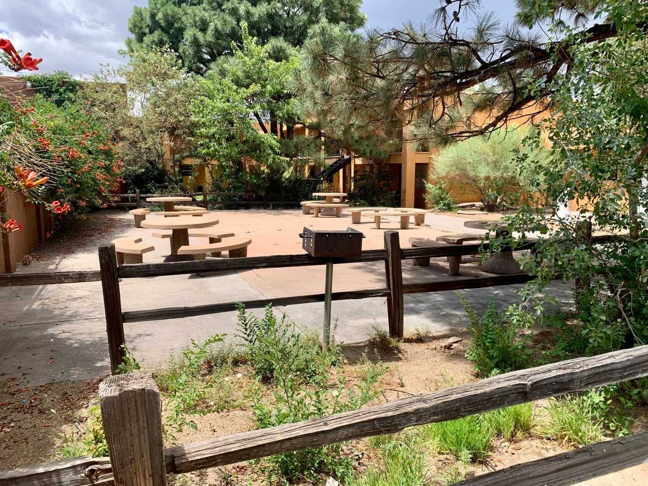 Pine Park Apartments - Photo 4 of 15