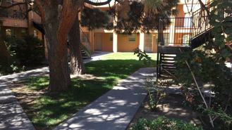 Pine Park Apartments - Photo 1 of 1