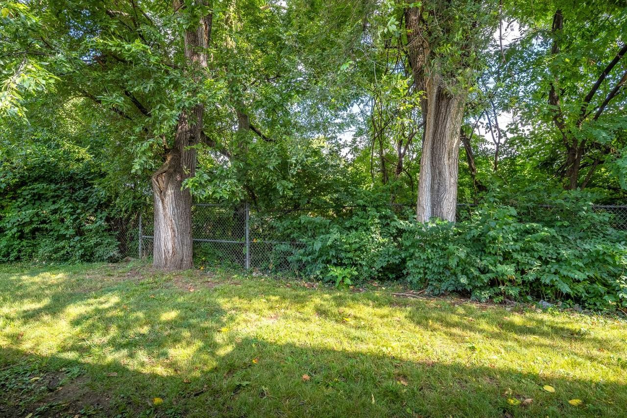 Dixie Downs - Photo 4 of 37