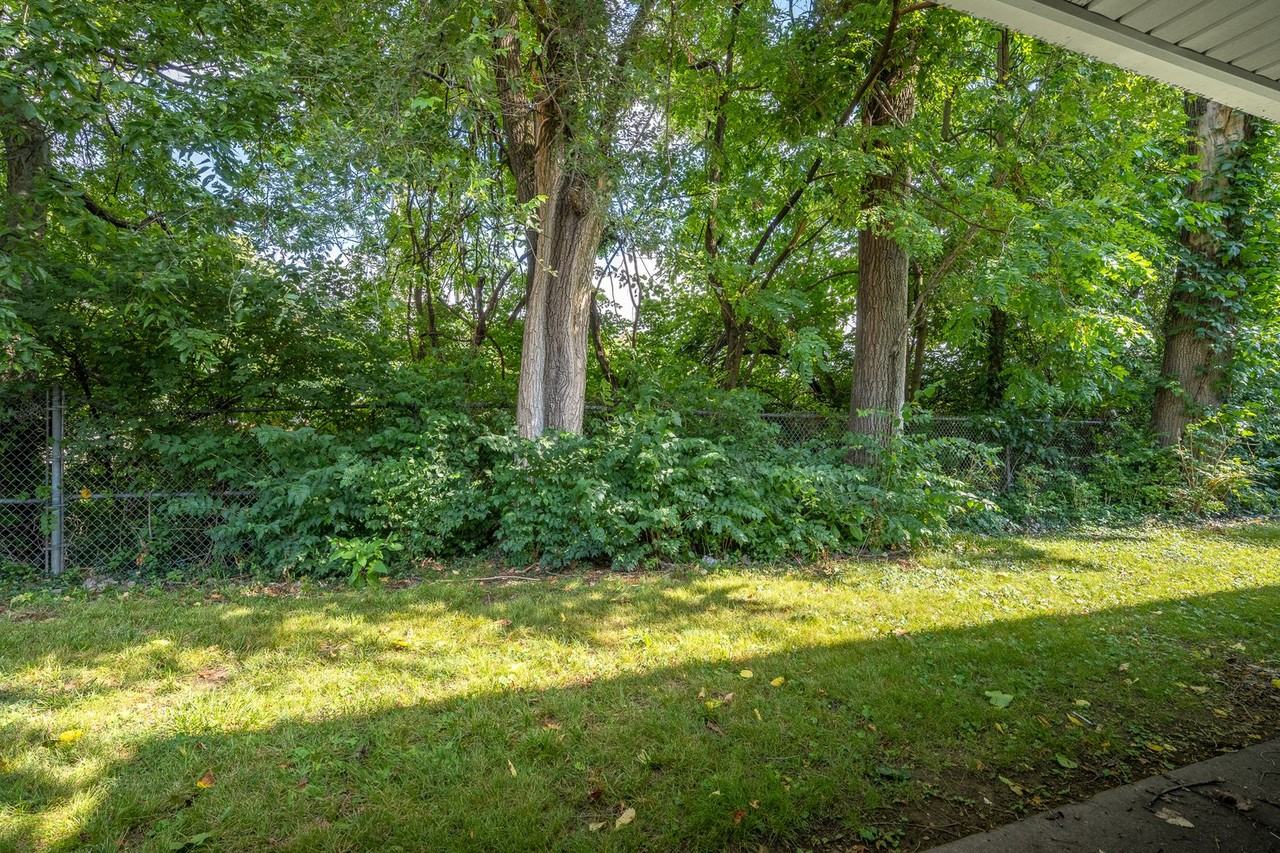 Dixie Downs - Photo 5 of 37