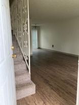 Glacier Lily - Photo 1 of 1