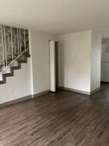 Glacier Lily - Photo 1 of 1