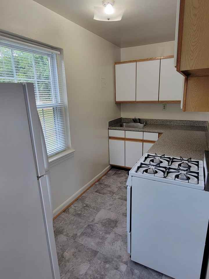 Bedford Gardens - Photo 4 of 9