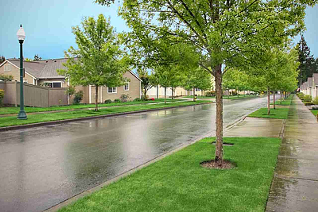 Cooper Point Village - Photo 2 of 7