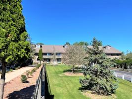 featured image of 115 Chaffee Rd