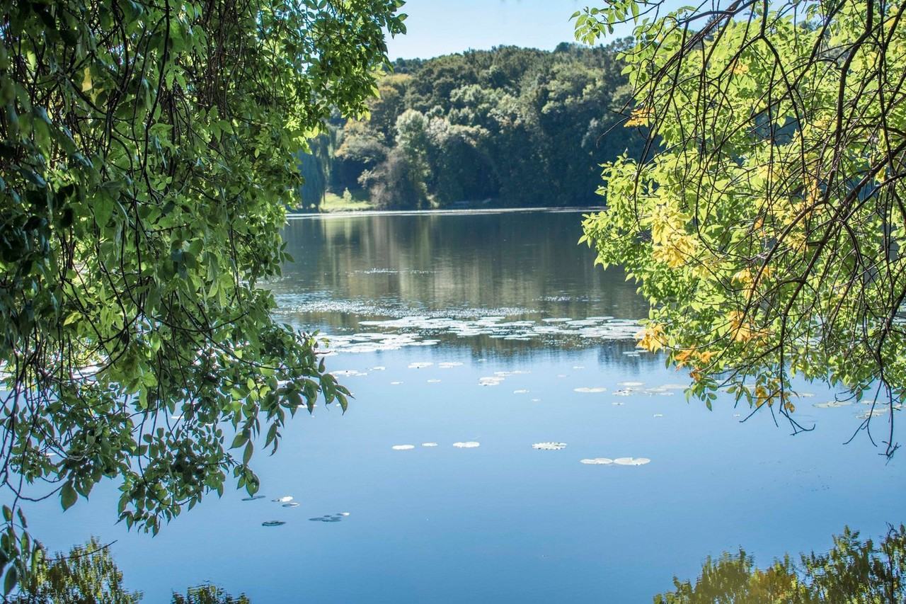 Excelsior Lake Apartments - Photo 6 of 50