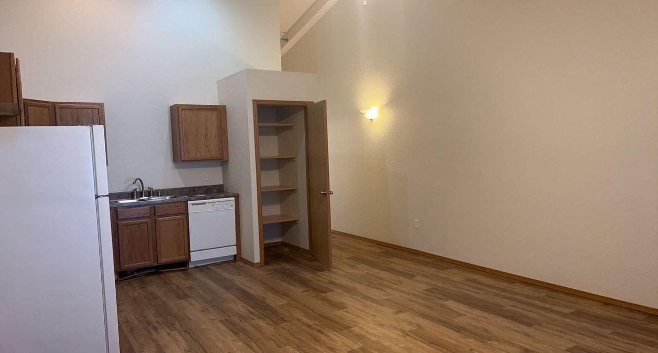 Spacious 1 Bedroom Apartments with In - Photo 4 of 14
