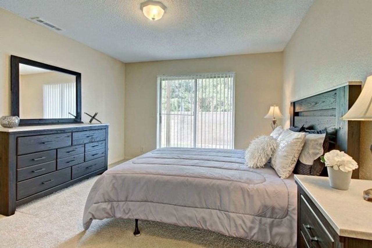 Autumn Woods - Photo 4 of 45