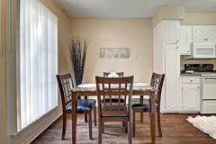 Autumn Woods - Photo 1 of 1