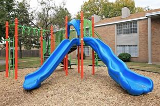 Autumn Woods - Photo 1 of 1