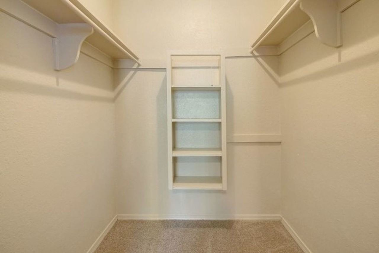 Autumn Woods - Photo 6 of 46