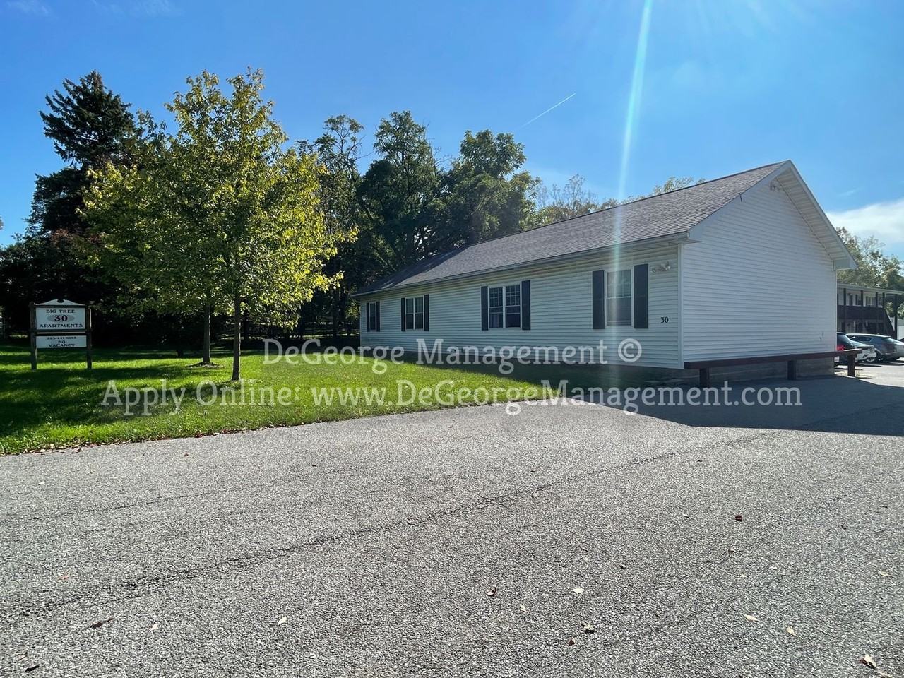 Big Tree Apartments - Photo 3 of 50