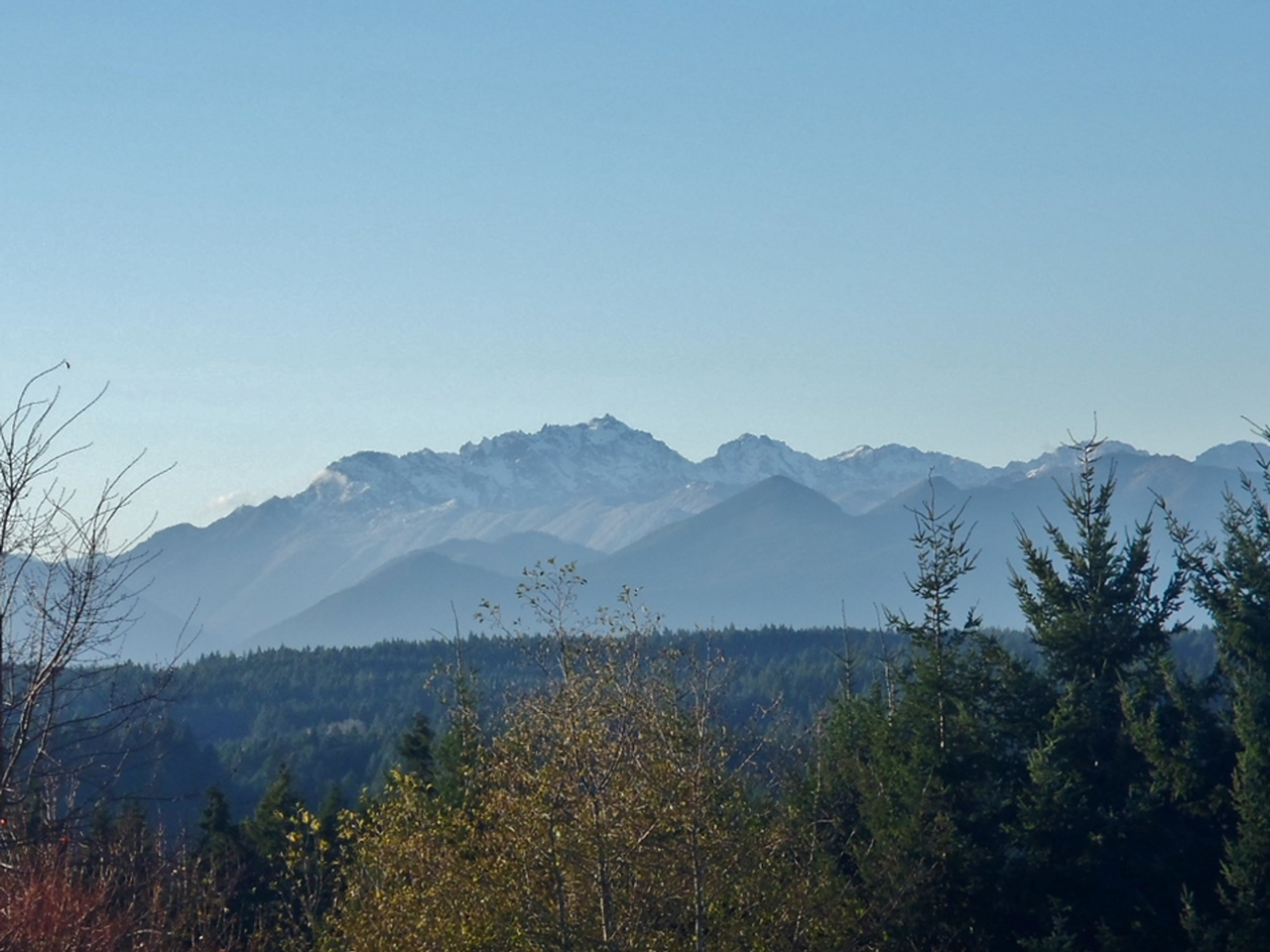 Signature Apartments - Photo 5 of 14