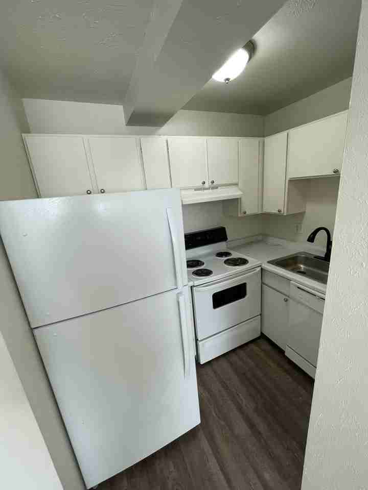 Caledonian Apartments - Photo 4 of 17