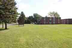 Pine Tree - Photo 1 of 1