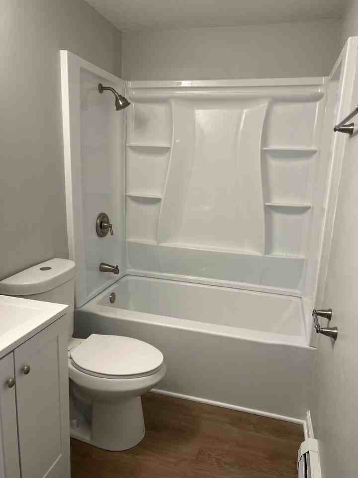 Pine Tree - Photo 2 of 8