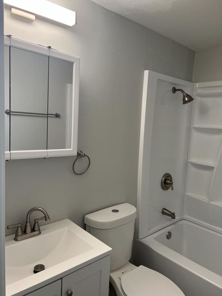 Pine Tree - Photo 4 of 8