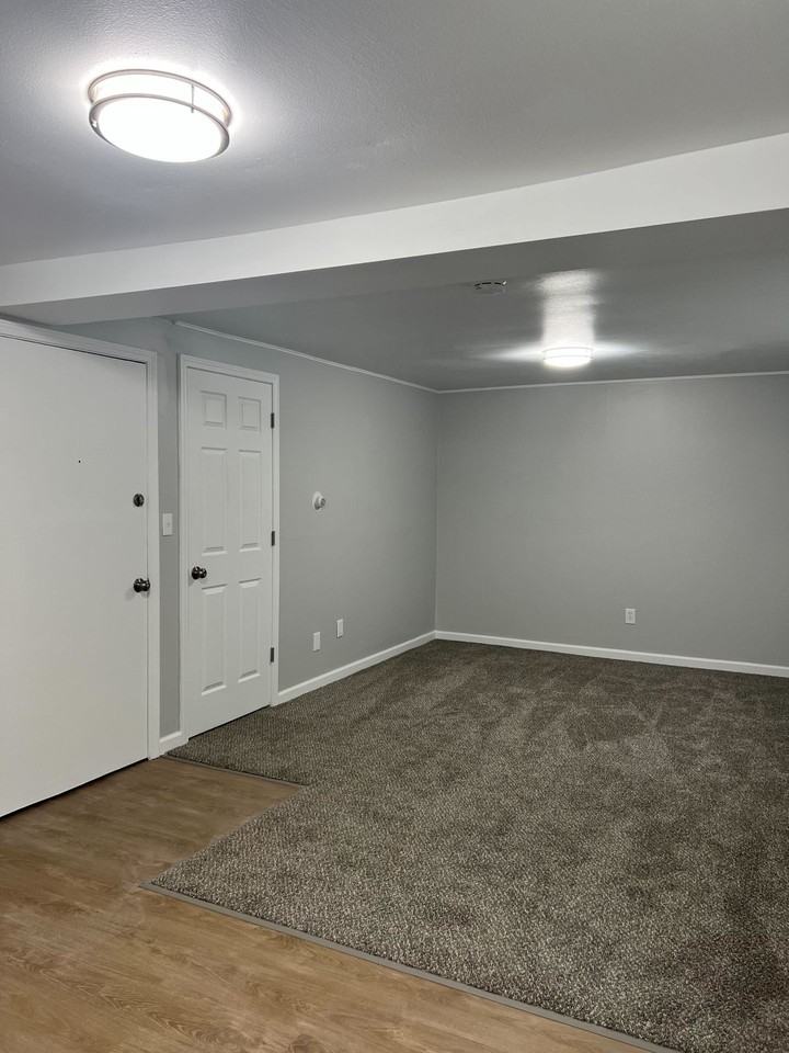 Pine Tree - Photo 5 of 8