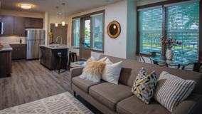 The Central on Orange Lake Apartments in Downtown New Port Richey - Photo 1 of 1