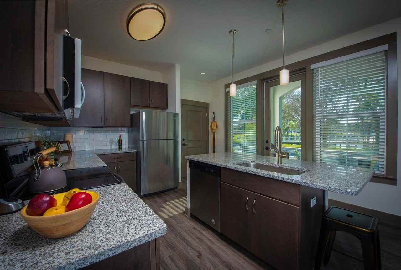 The Central on Orange Lake Apartments in Downtown New Port Richey - Photo 5 of 50