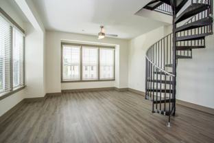 The Central on Orange Lake Apartments in Downtown New Port Richey - Photo 1 of 1