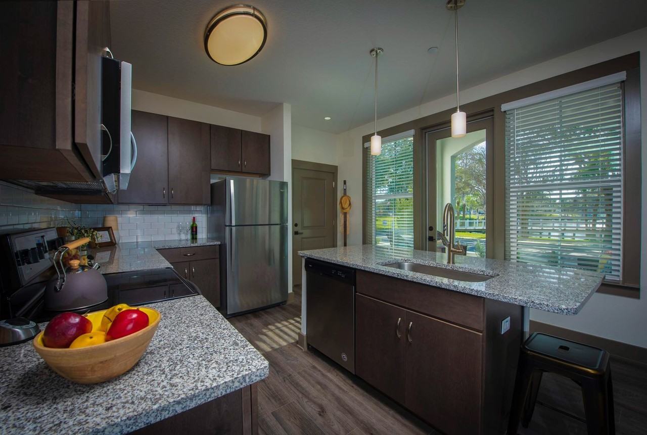 The Central on Orange Lake Apartments in Downtown New Port Richey - Photo 5 of 48