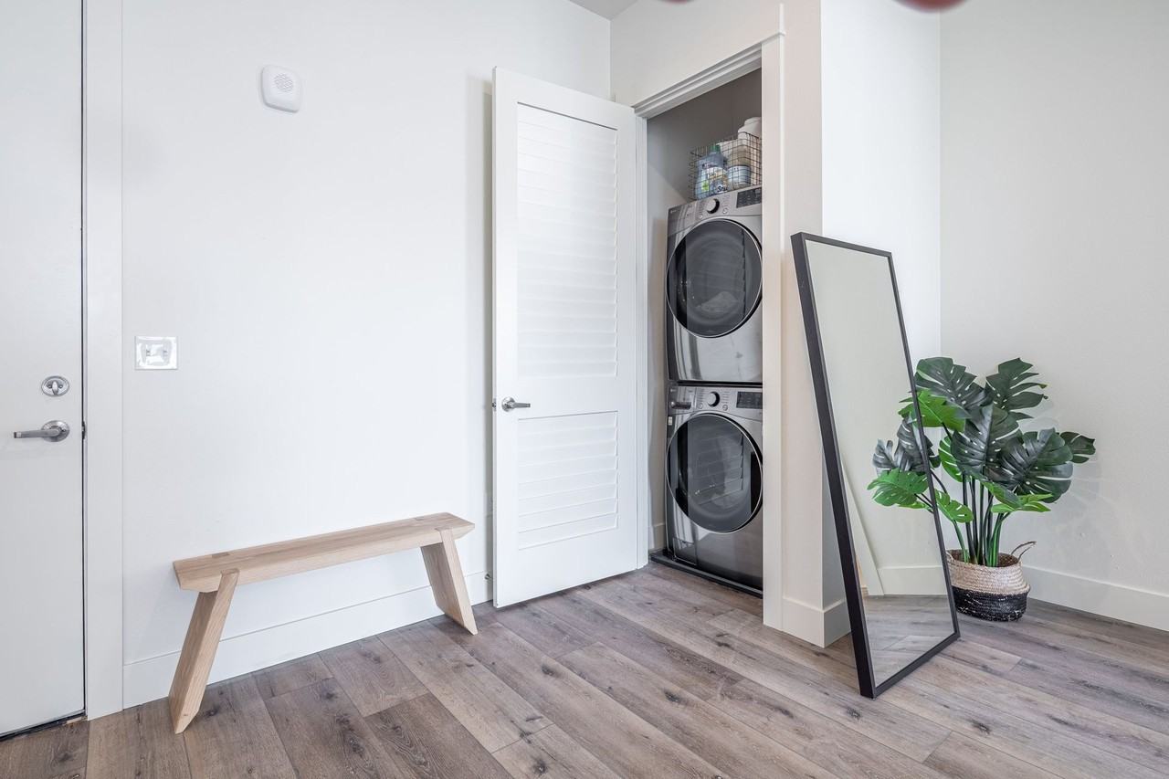 Rosa B - Photo 7 of 50