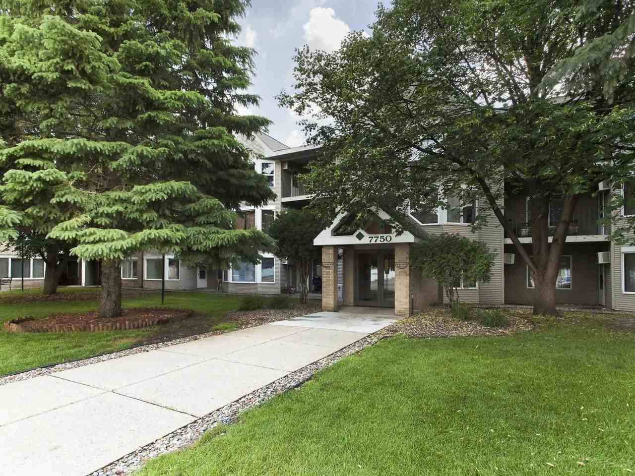 Whitney Pines - Photo 2 of 25