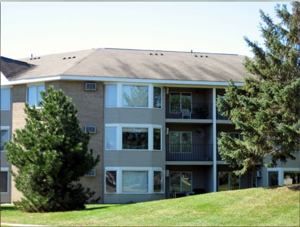 Whitney Pines - Photo 4 of 25