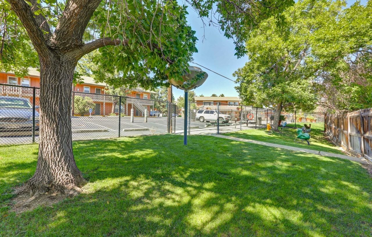 Edelweiss Apartments - Photo 6 of 9