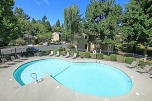 Park at Dashpoint - Photo 3 of 35