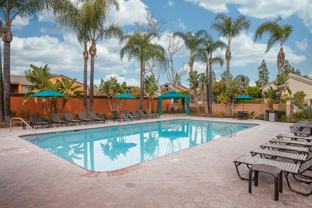 Highland Pinetree Apartments - Photo 1 of 1