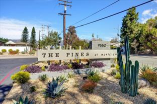The Pines Apartments - Photo 1 of 1