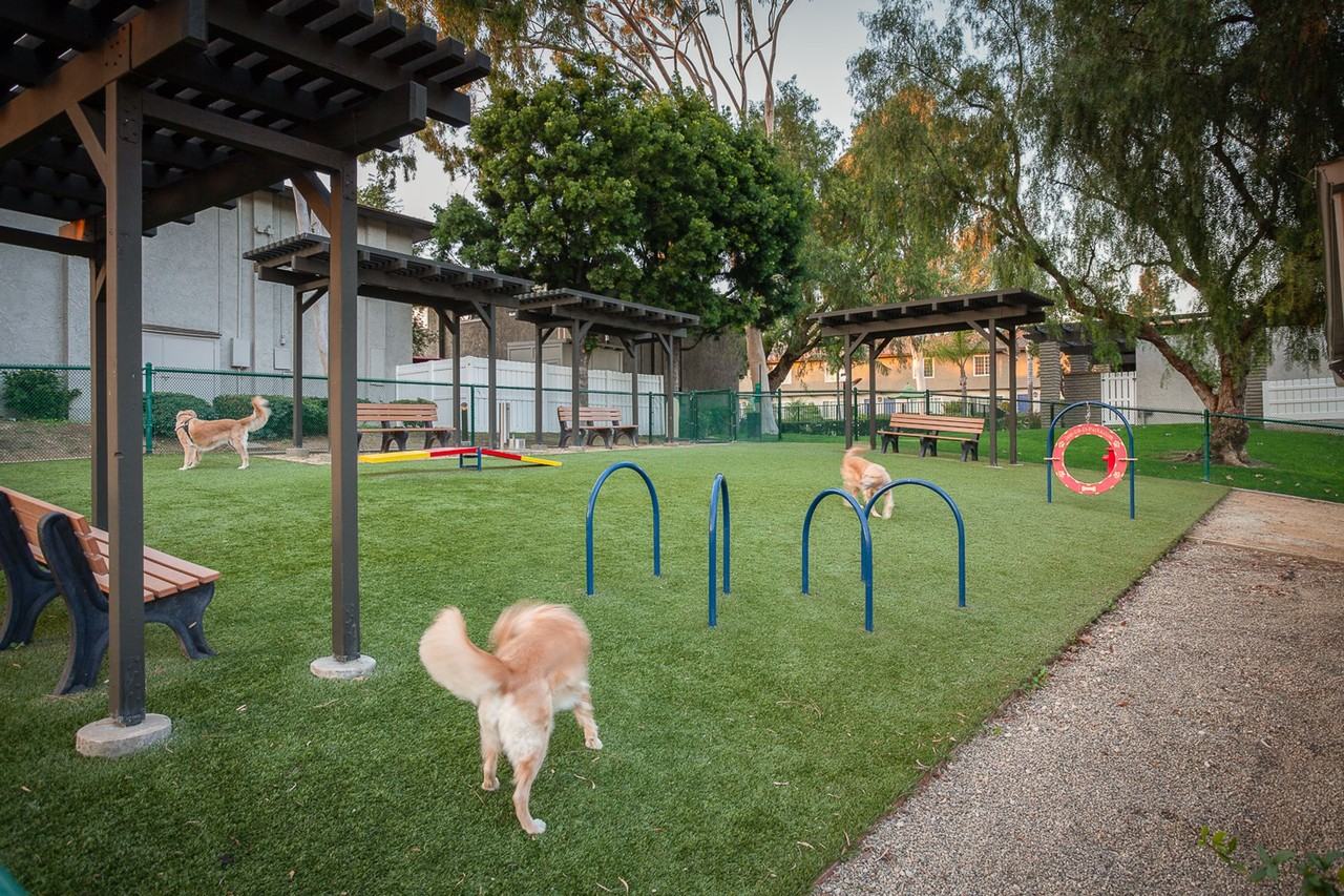 Yorba Linda Pines Apartments - Photo 5 of 23